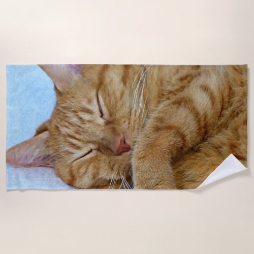Sleeping Cat Beach Towel
