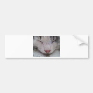 Sleeping Cat Bumper Sticker