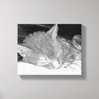 Sleeping cat canvas print