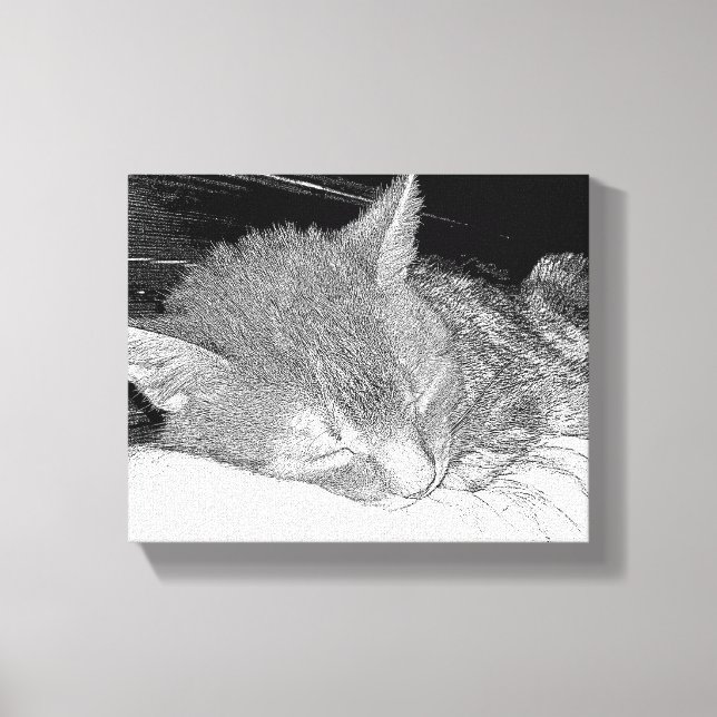 Sleeping cat canvas print (Front)