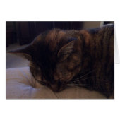 Sleeping Cat, card (Front Horizontal)