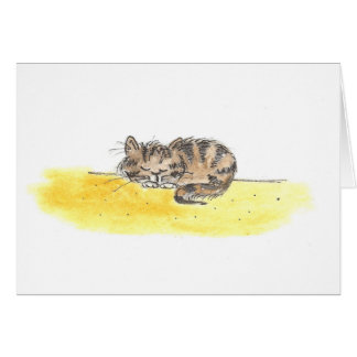 Sleeping Cat Cards