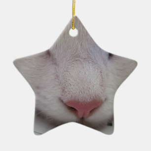 Sleeping Cat Ceramic Ornament