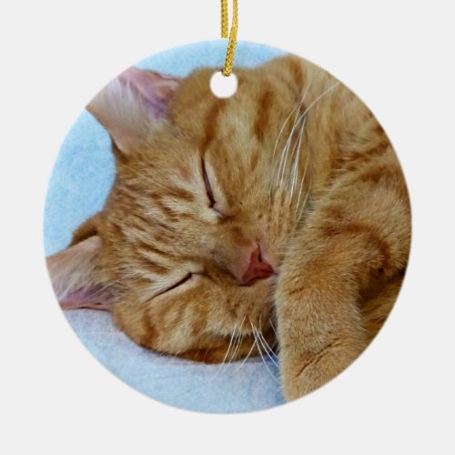 Sleeping Cat Ceramic Ornament