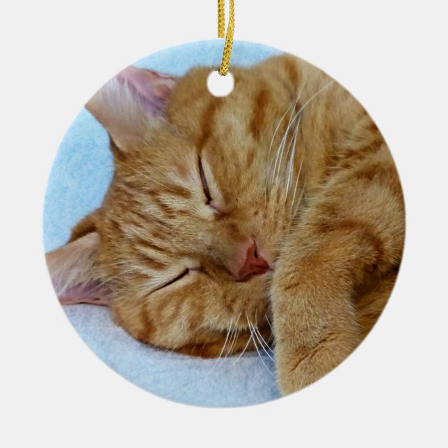 Sleeping Cat Ceramic Ornament (Front)