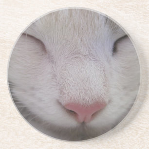 Sleeping Cat Coaster