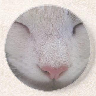 Sleeping Cat Coaster