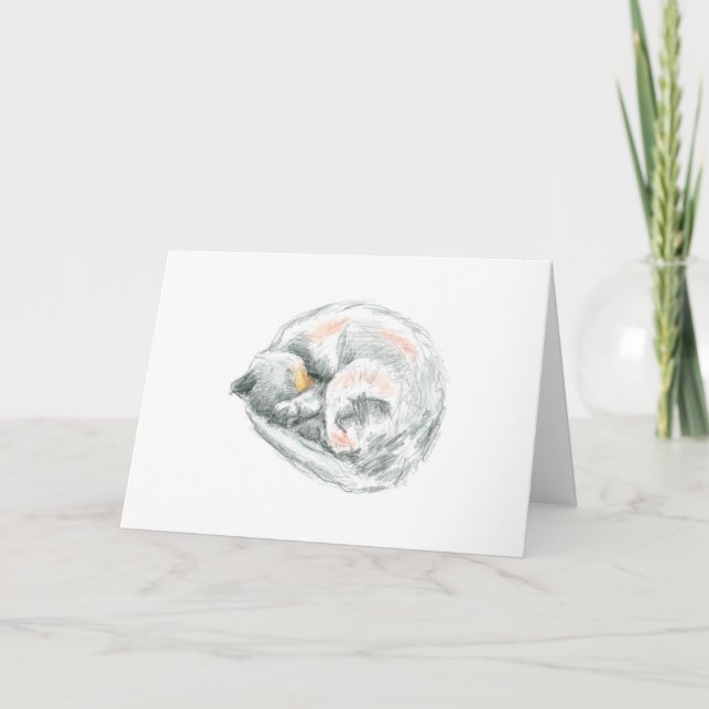 Sleeping Cat Drawing Holiday Card (Front)