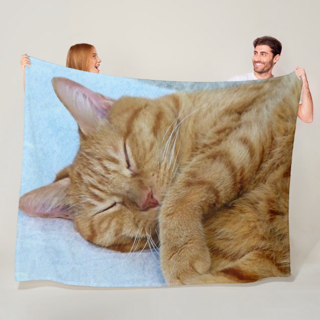 Sleeping Cat Fleece Blanket (In Situ)