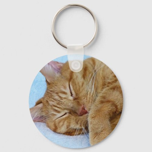 Sleeping Cat Keychain