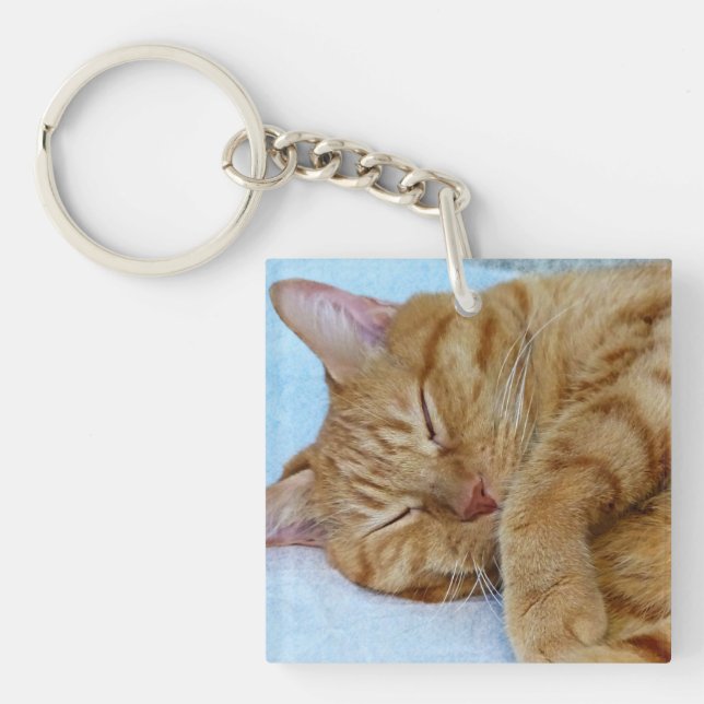 Sleeping Cat Keychain (Front)