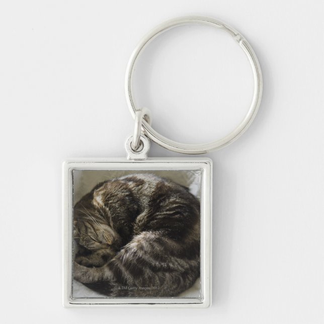 Sleeping cat keychain (Front)