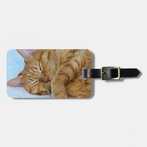 Sleeping Cat Luggage Tag