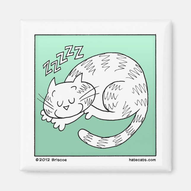 Sleeping Cat Magnet (Front)