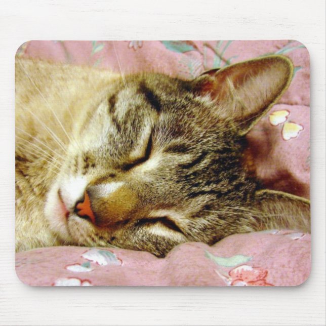 Sleeping Cat Mouse Pad (Front)