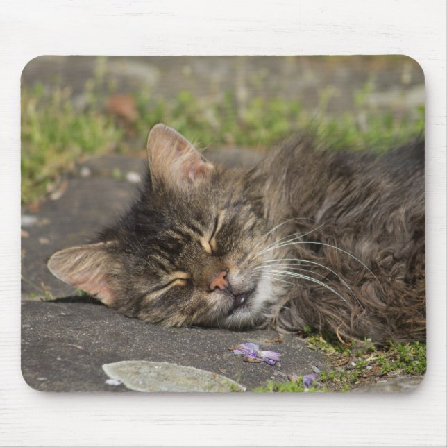Sleeping Cat Mouse Pad (Front)
