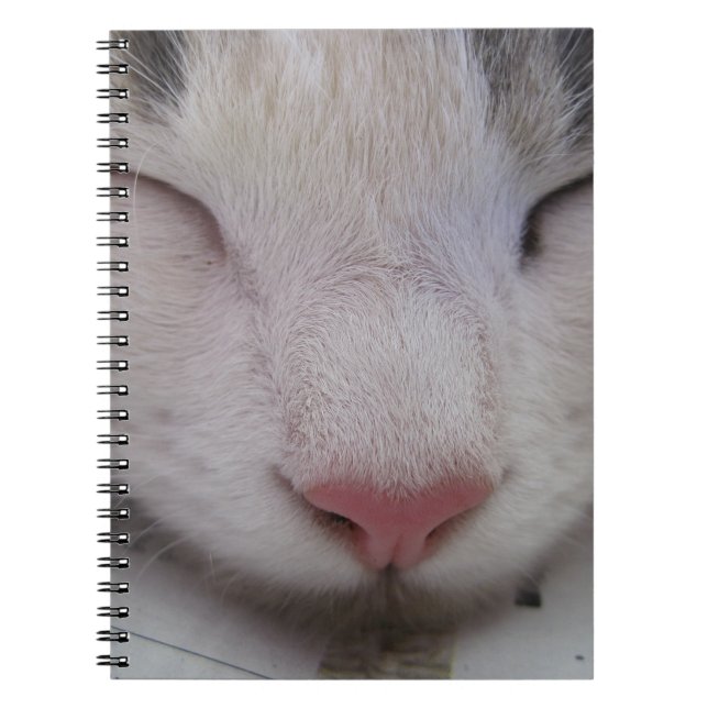 Sleeping Cat Notebook (Front)