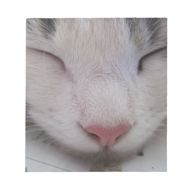 Sleeping Cat Notepad (Front)
