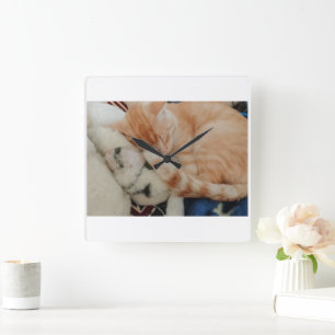 Sleeping Cat Photo Wall Clock