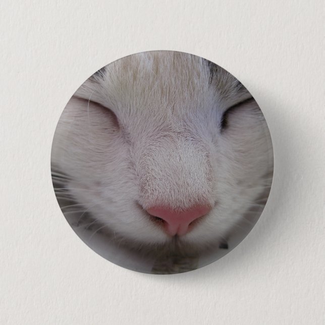Sleeping Cat Pinback Button (Front)