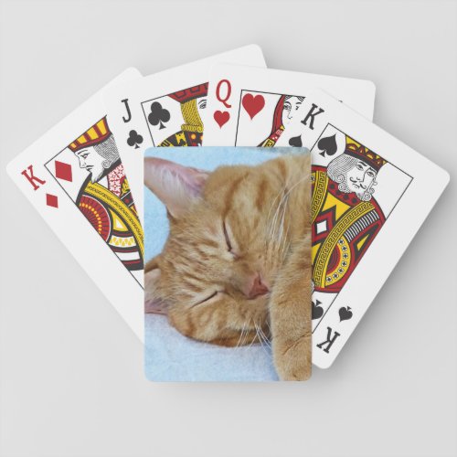 Sleeping Cat Poker Cards