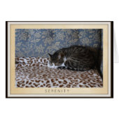 Sleeping Cat - Serenity (Front Horizontal)