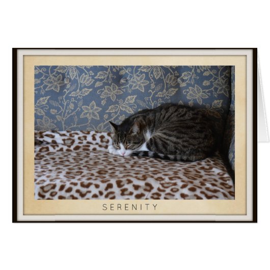 Sleeping Cat - Serenity Cards (Front Horizontal)