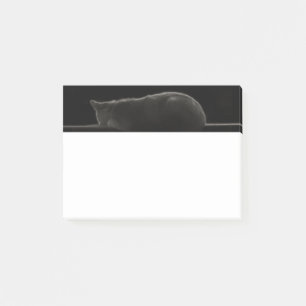 Sleeping Cat Silhouette Post-it Notes