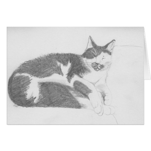 Sleeping cat sketch cards (Front Horizontal)