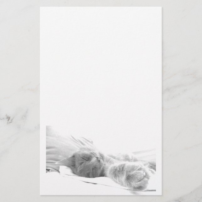 Sleeping Cat Stationery (Front)