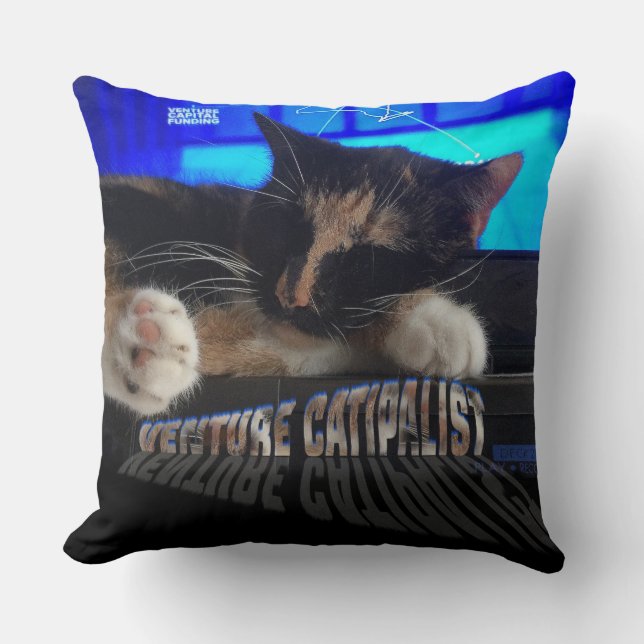 Sleeping Cat Throw Pillow (Front)