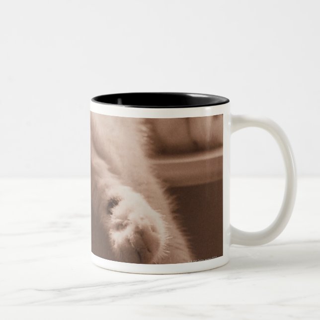 Sleeping Cat Two-Tone Coffee Mug (Right)