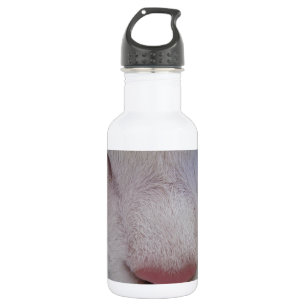 Sleeping Cat Water Bottle