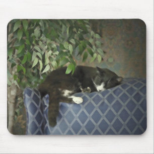 Sleeping Catnap, Kitty Kitten Mousepad