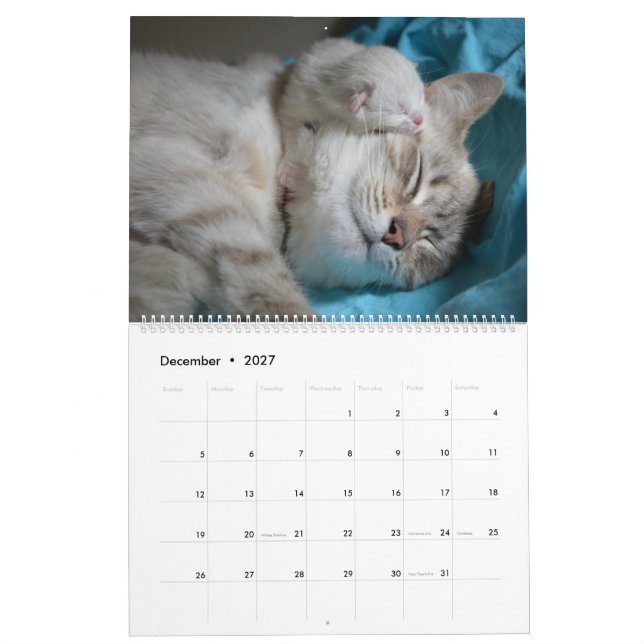 Sleeping Cats & Kittens Cute Kitty 2021 Calendar (Dec 2027)