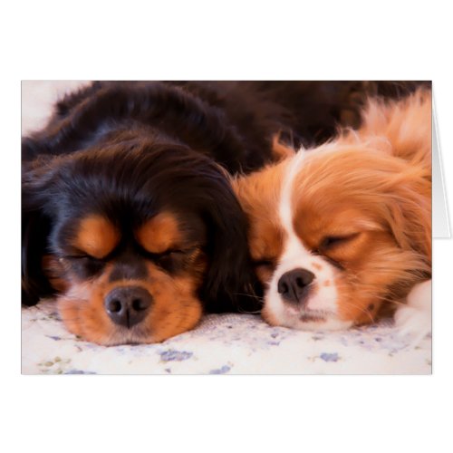 Sleeping Cavalier King Charles Spaniel Card