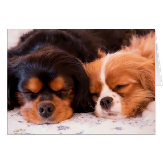 Sleeping Cavalier King Charles Spaniel Card (Front Horizontal)
