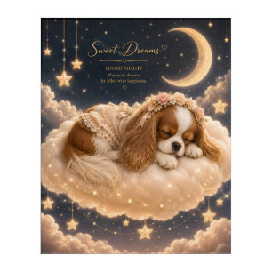 Sleeping Cavalier King Charles Spaniel on Cloud Be Acrylic Print