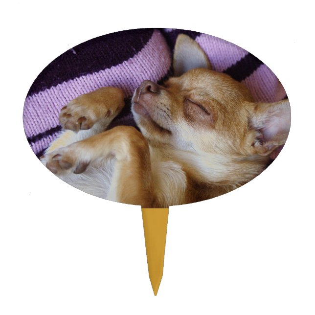 Sleeping Chihuahua Cake Topper (Front)