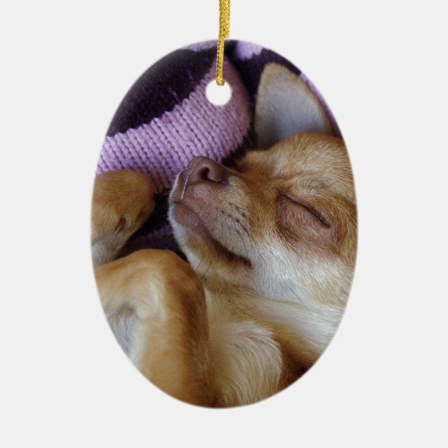 Sleeping Chihuahua Ceramic Ornament (Front)