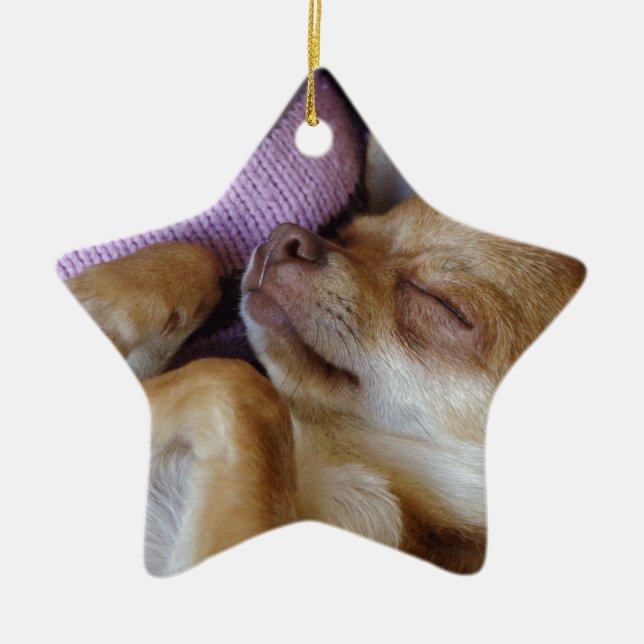 Sleeping Chihuahua Ceramic Ornament (Front)