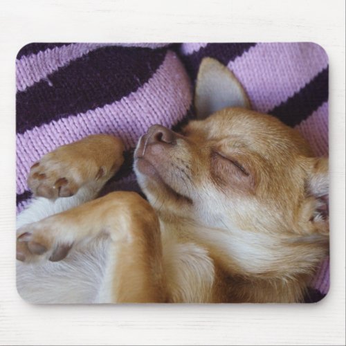 Sleeping Chihuahua Mouse Pad