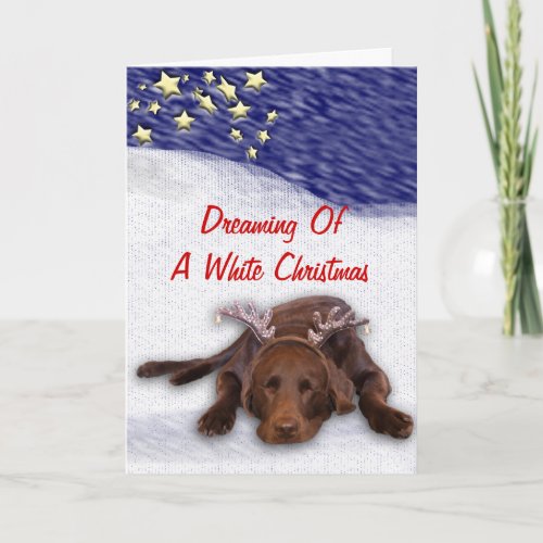 Sleeping Chocolate Lab With Antlers Photograph Holiday Card
