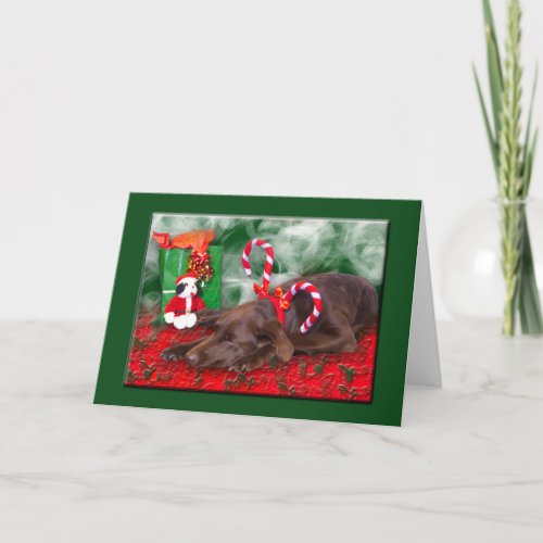 Sleeping Chocolate Lab With Peppermint Stick Hat Holiday Card