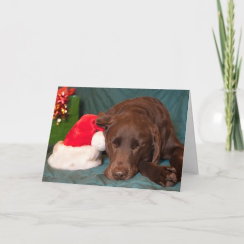 Sleeping Chocolate Lab With Santa Hat Photo Custom Holiday Card