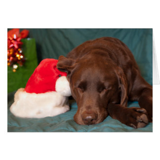 Chocolate Lab Christmas Cards | Zazzle