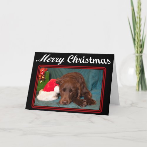 Sleeping Chocolate Lab With Santa Hat Photograph Holiday Card