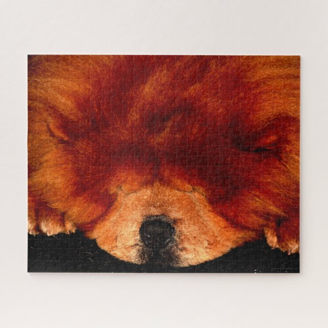 Sleeping Chow Chow 16x20 520pc jpa Jigsaw Puzzle (Horizontal)