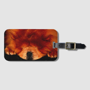 Sleeping Chow Chow bc lta Luggage Tag