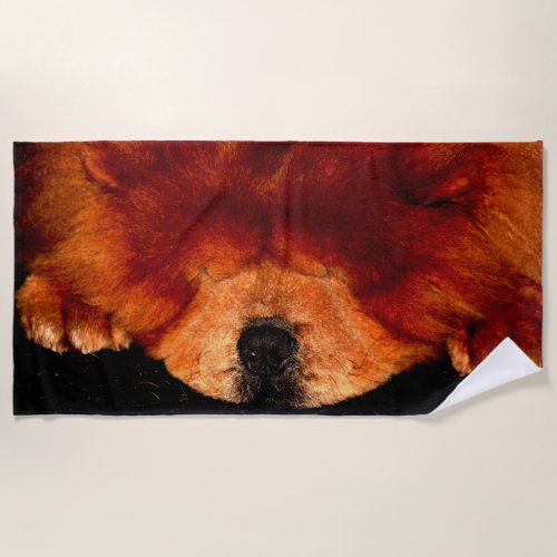 Sleeping Chow Chow btcnm Beach Towel